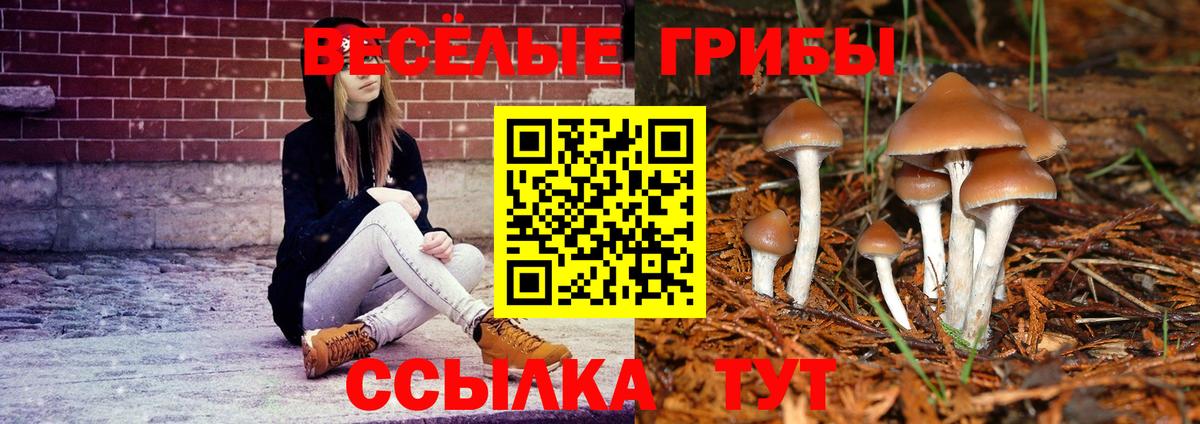 Алейск  закладки  Псилоцибиновые грибы Psilocybe  Вход с VPN  Галлюциногенные грибы MAGIC MUSHROOMS 